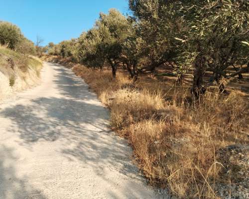 φωτογραφία ακινήτου