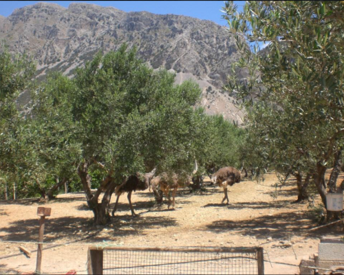 φωτογραφία ακινήτου
