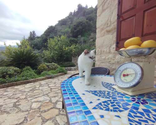 φωτογραφία ακινήτου