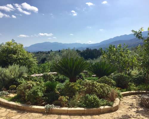 φωτογραφία ακινήτου