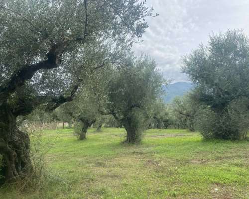εικόνα ακινήτου
