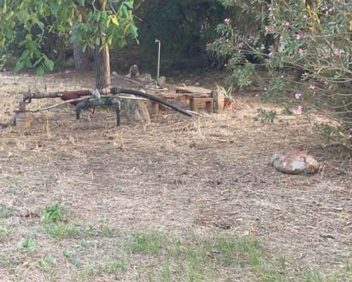 φωτογραφία ακινήτου