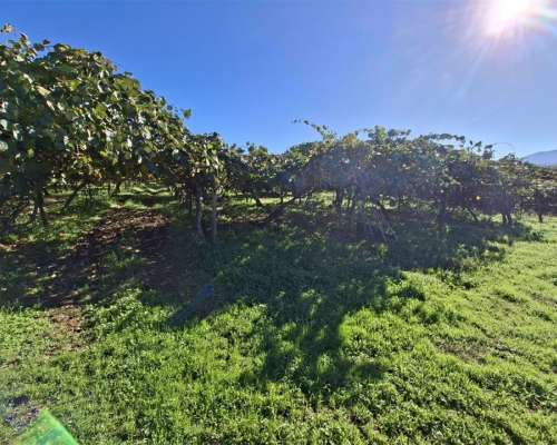 φωτογραφία ακινήτου