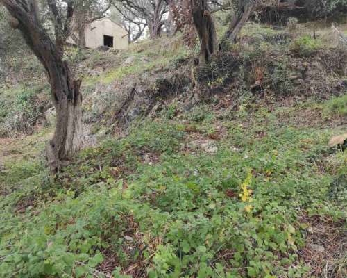 φωτογραφία ακινήτου