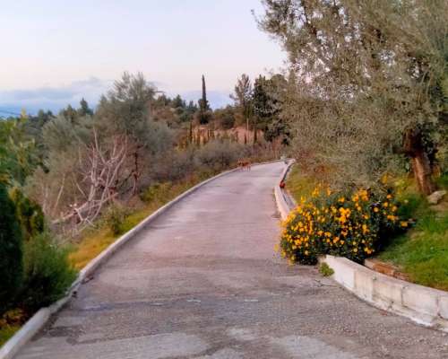 φωτογραφία ακινήτου