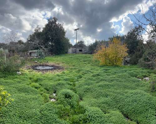 εικόνα ακινήτου