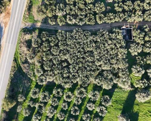 φωτογραφία ακινήτου