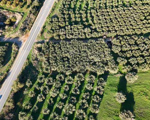 φωτογραφία ακινήτου