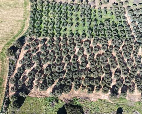 εικόνα ακινήτου