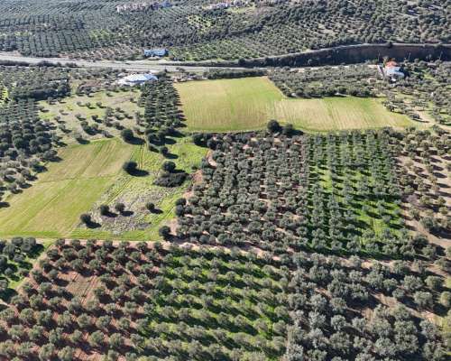 φωτογραφία ακινήτου
