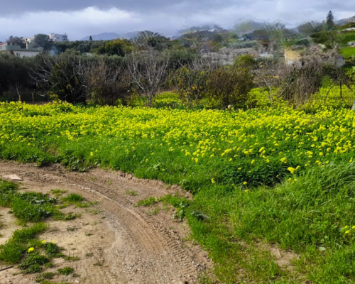 εικόνα ακινήτου