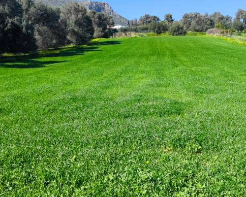 φωτογραφία ακινήτου