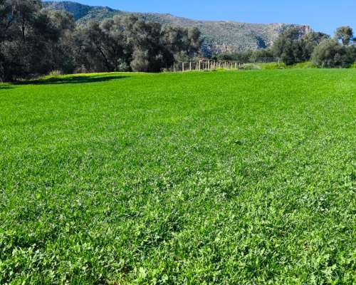 φωτογραφία ακινήτου