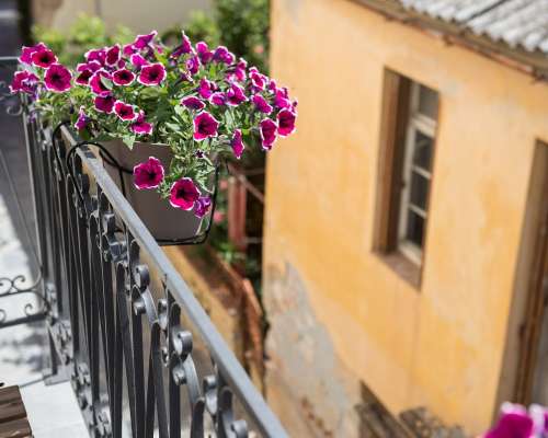 φωτογραφία ακινήτου