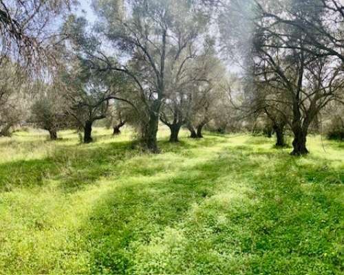 φωτογραφία ακινήτου