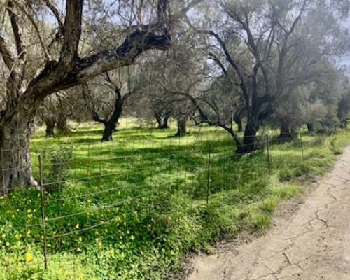 φωτογραφία ακινήτου