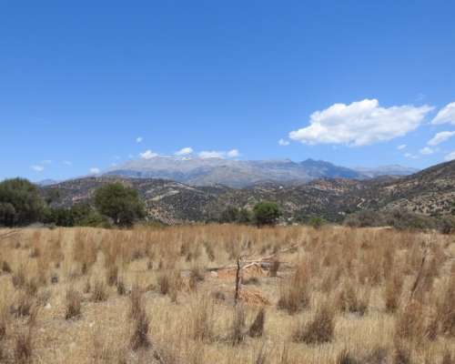 φωτογραφία ακινήτου