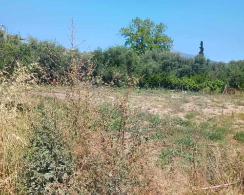 εικόνα ακινήτου