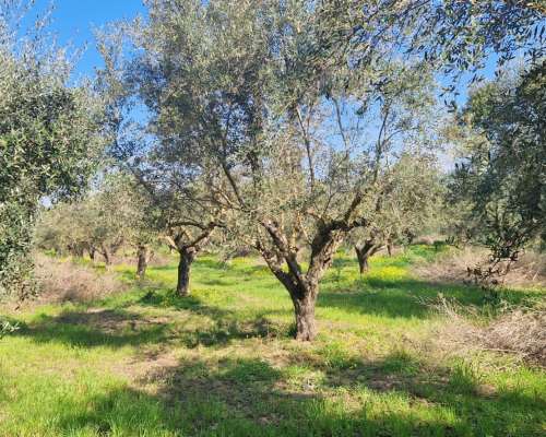 φωτογραφία ακινήτου