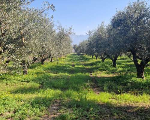 φωτογραφία ακινήτου