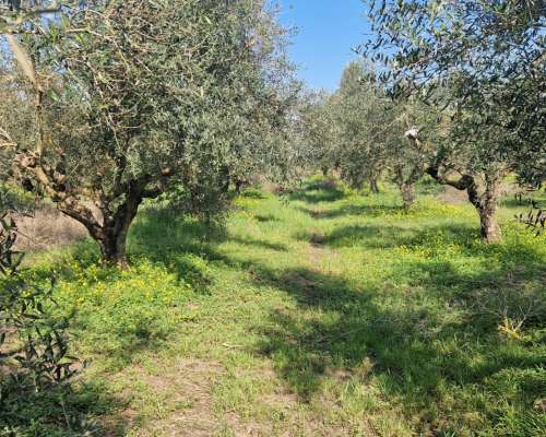 φωτογραφία ακινήτου