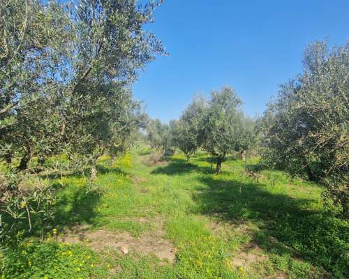 φωτογραφία ακινήτου