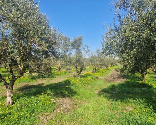 φωτογραφία ακινήτου