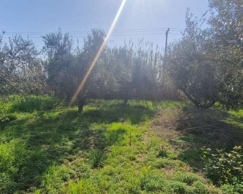 φωτογραφία ακινήτου