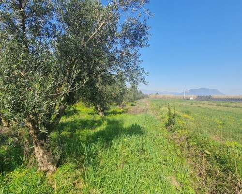 φωτογραφία ακινήτου