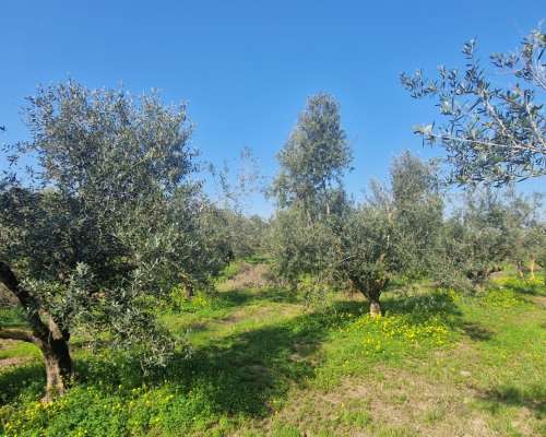 φωτογραφία ακινήτου