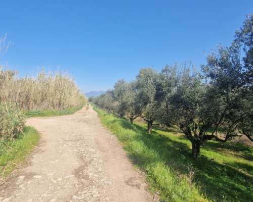 φωτογραφία ακινήτου