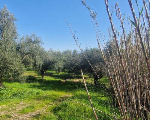 φωτογραφία ακινήτου