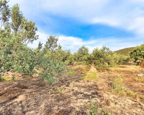 φωτογραφία ακινήτου