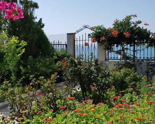 εικόνα ακινήτου