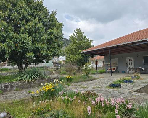 φωτογραφία ακινήτου