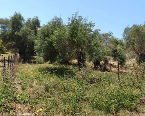 φωτογραφία ακινήτου