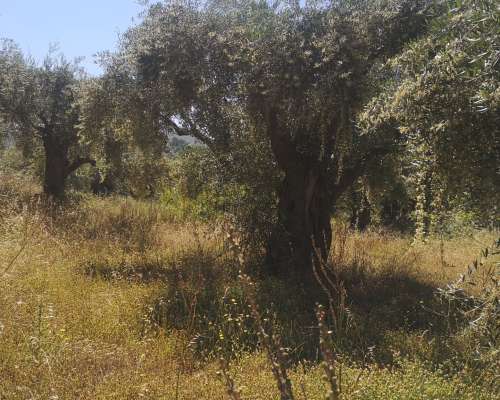 εικόνα ακινήτου