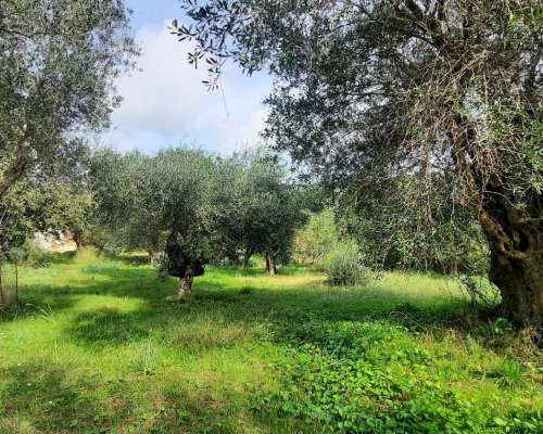 φωτογραφία ακινήτου