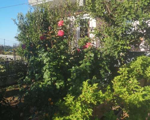 φωτογραφία ακινήτου