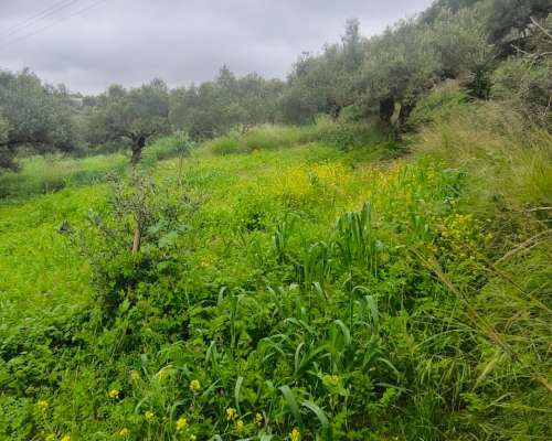 φωτογραφία ακινήτου