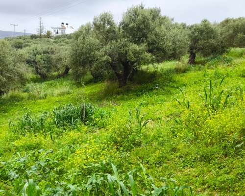 φωτογραφία ακινήτου