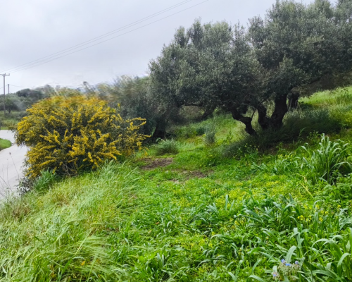 φωτογραφία ακινήτου
