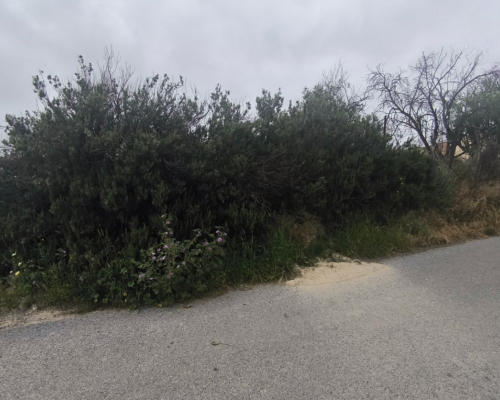 φωτογραφία ακινήτου