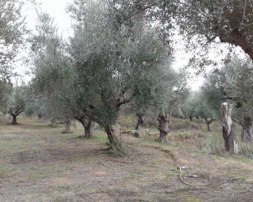 φωτογραφία ακινήτου