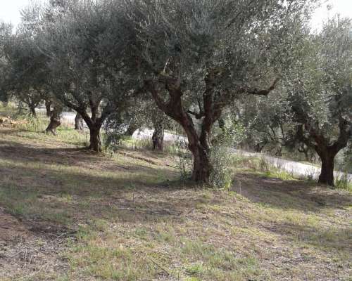 φωτογραφία ακινήτου