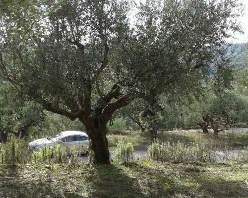 φωτογραφία ακινήτου