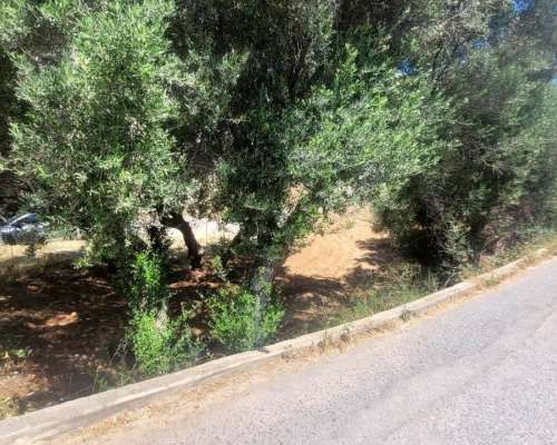 φωτογραφία ακινήτου