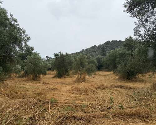 φωτογραφία ακινήτου