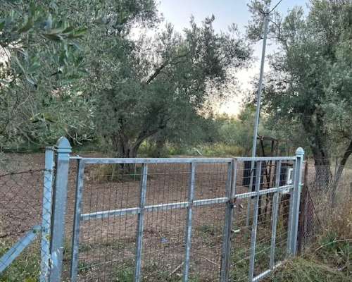 φωτογραφία ακινήτου