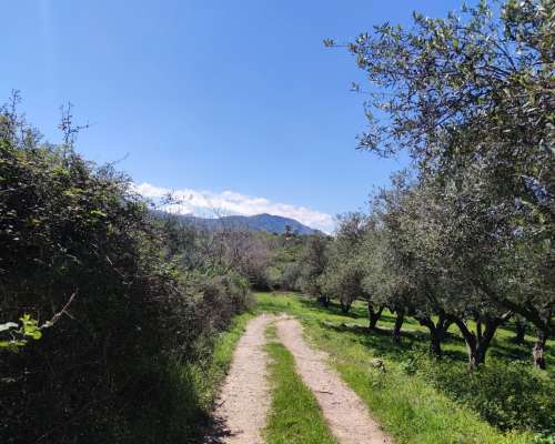 εικόνα ακινήτου
